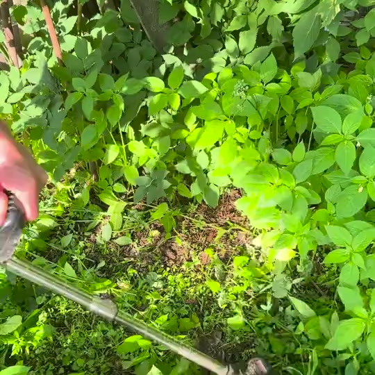 Видео отзыв